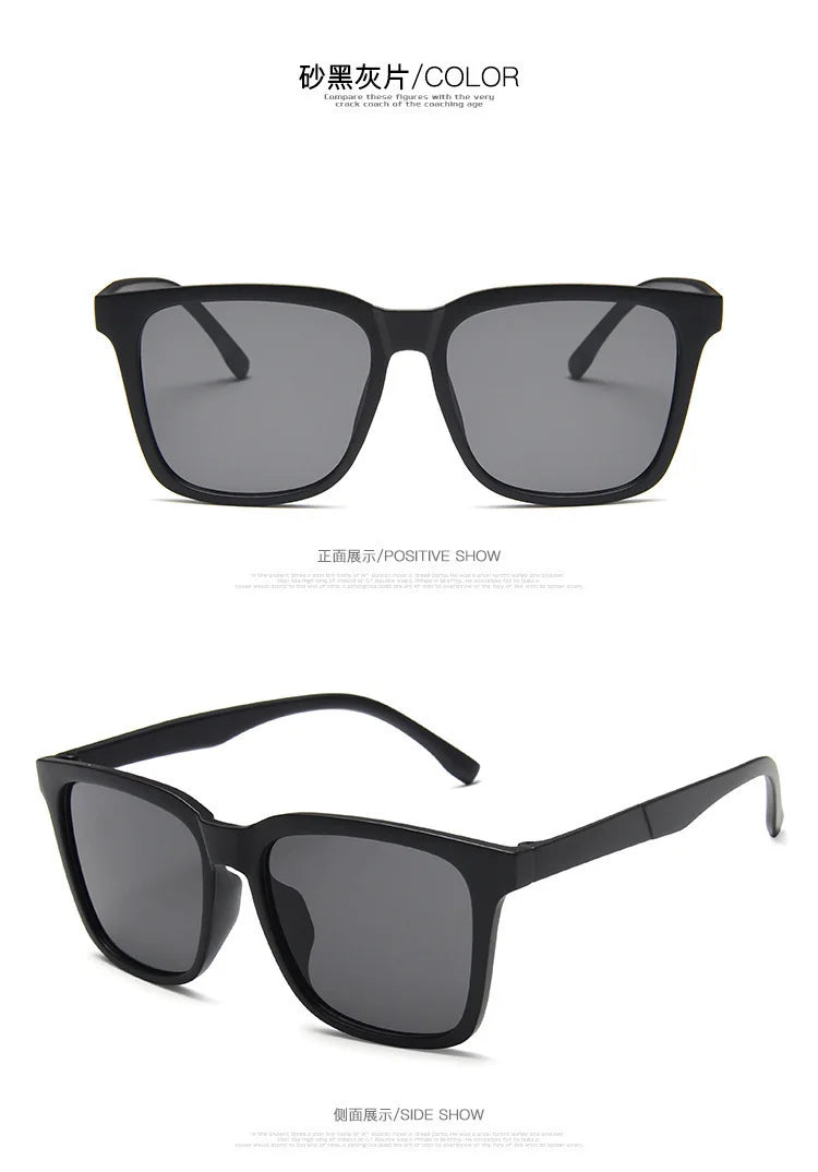 Large Frame Square Sunglasses